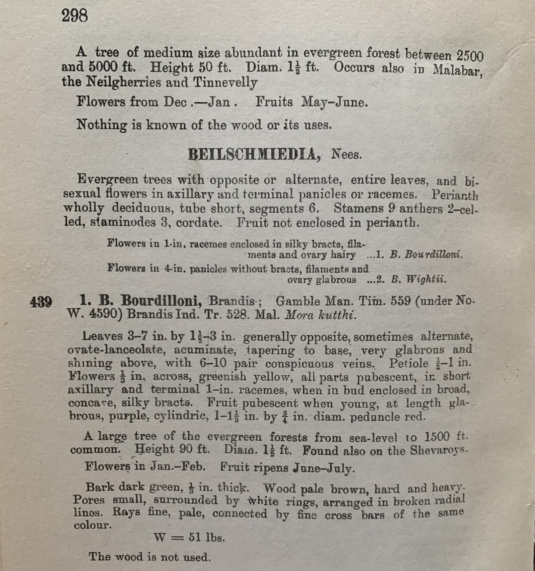 Forest trees of Travancore extrait p298